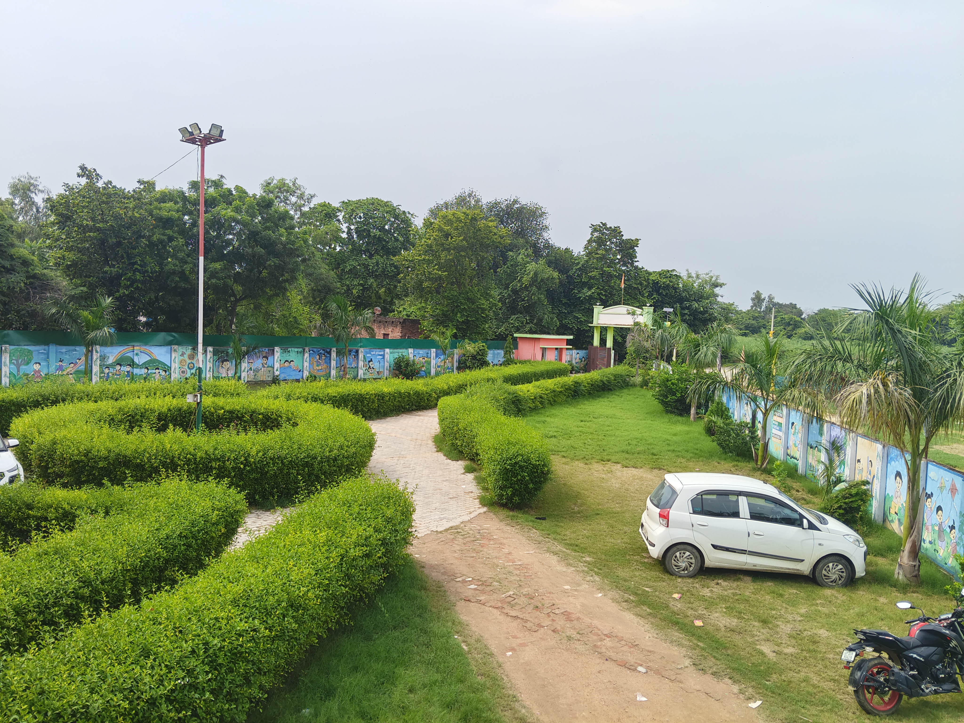 Activity