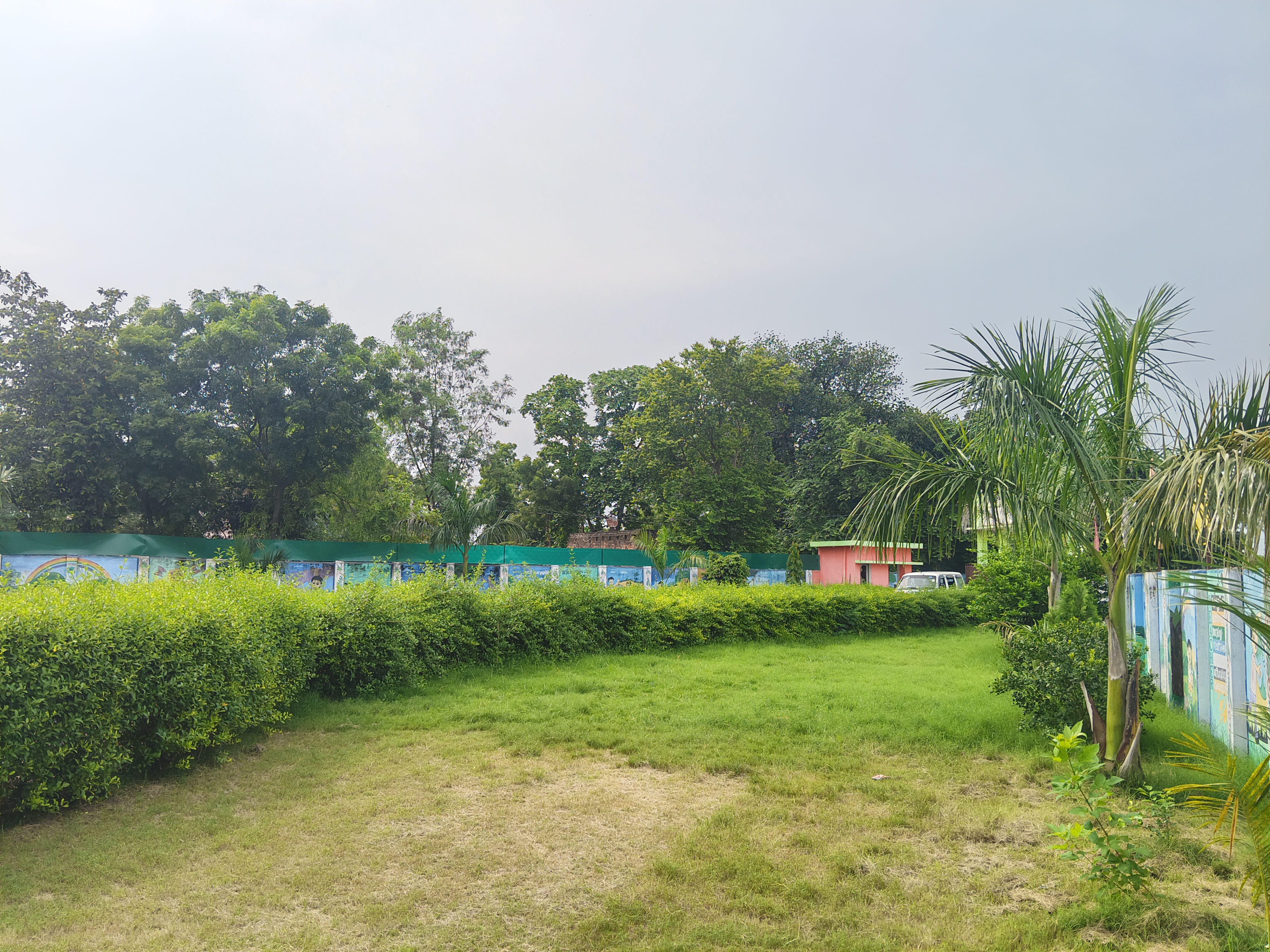 Activity