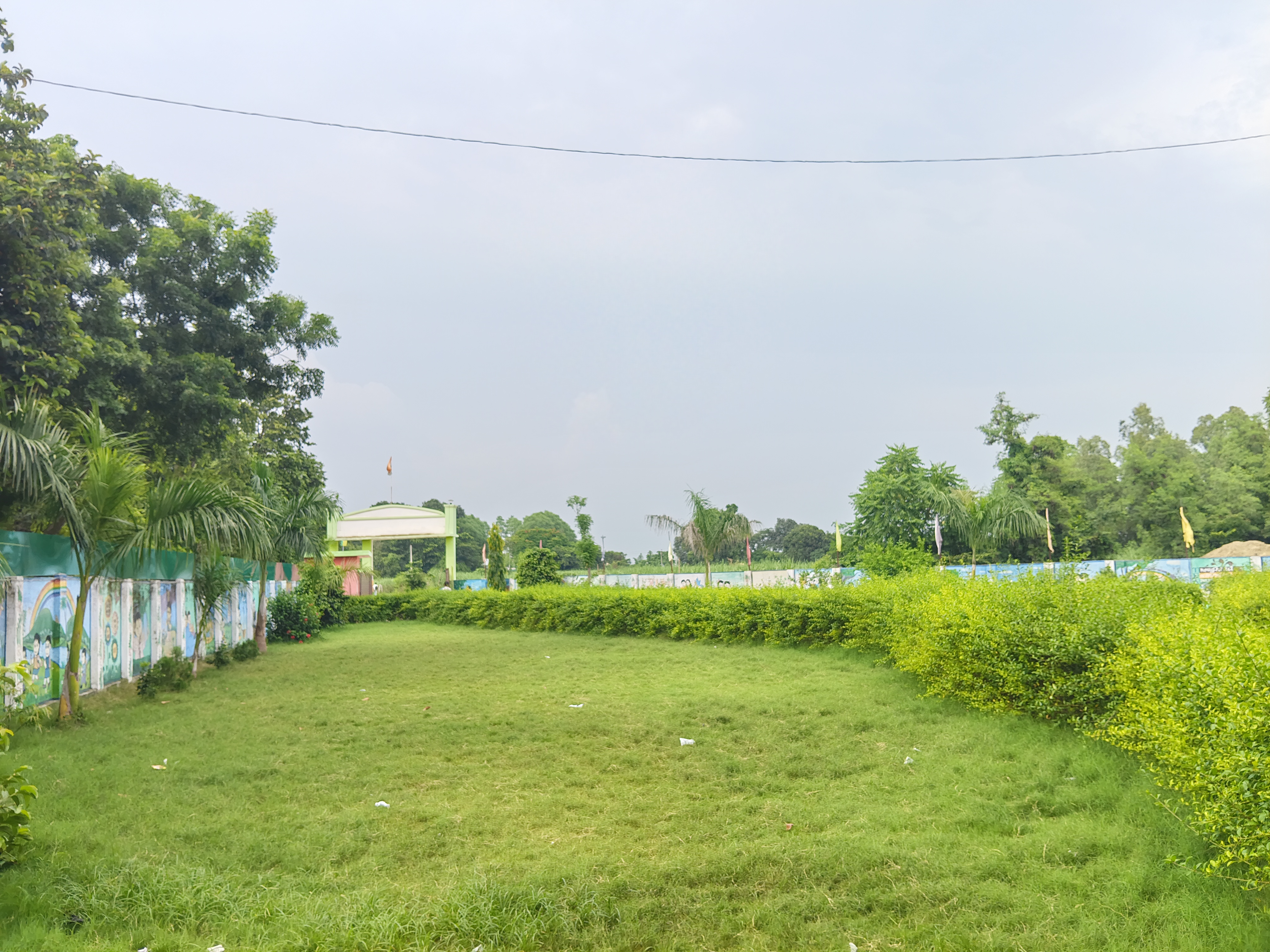 Activity